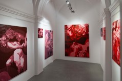 Galeria Enter - Maciej Nesterowicz - Lovenia