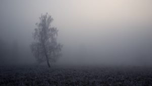 Zaduszki poetycko-muzyczne @ Pl. Żołnierza Polskiego 2 | Szczecin | Województwo zachodniopomorskie | Polska